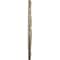 Ekena Millwork Attica with Rose Ceiling Medallion (Canopies up to 4 1/2"), 26"OD x 3 3/4"ID x 1 1/2"P, Gobi Desert CM26ATGDF - alternate 2